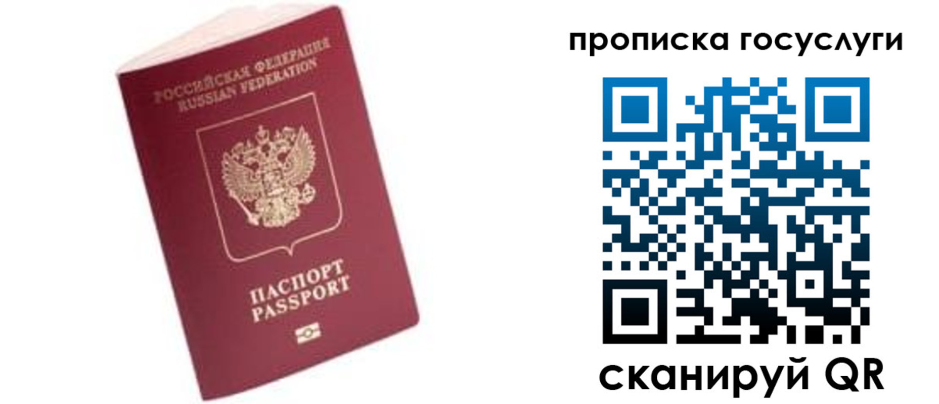 прописка в Зарайске